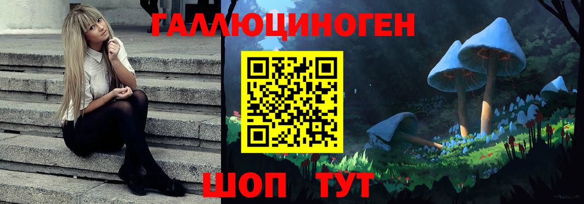 Галлюциногенные грибы Psilocybe  Вход с VPN  Севастополь 
